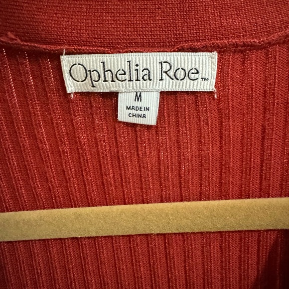 Elegant Rust Button-Down Dress - Picture 4 of 4